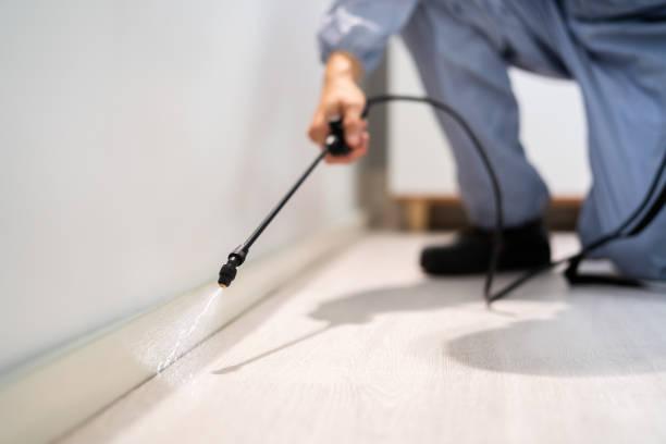 Licensed Termite Control service in Westminster, LA - Nex Pest Control