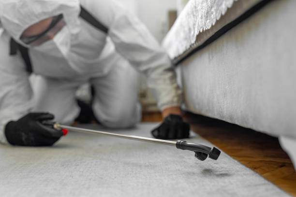 Professional Termite Control technician working in Westminster, LA